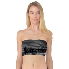 Grave Yard Dark Fantasy Trees Bandeau Top