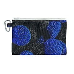 Raspberry One Edge Canvas Cosmetic Bag (Large)