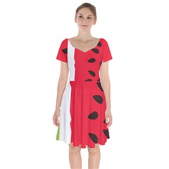 Watermelon Black Green Melon Red Short Sleeve Bardot Dress