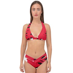 Watermelon Black Green Melon Red Double Strap Halter Bikini Set