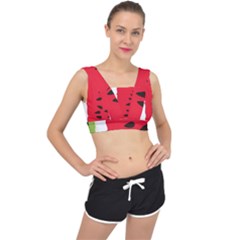 Watermelon Black Green Melon Red V-Back Sports Bra