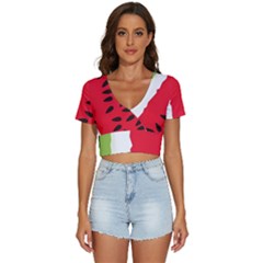 Watermelon Black Green Melon Red V-Neck Crop Top