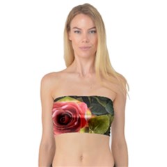 Flower Roses Bandeau Top by Cemarart