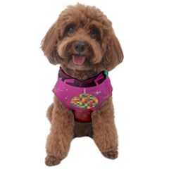 Dancing Colorful Disco Dog Sweater