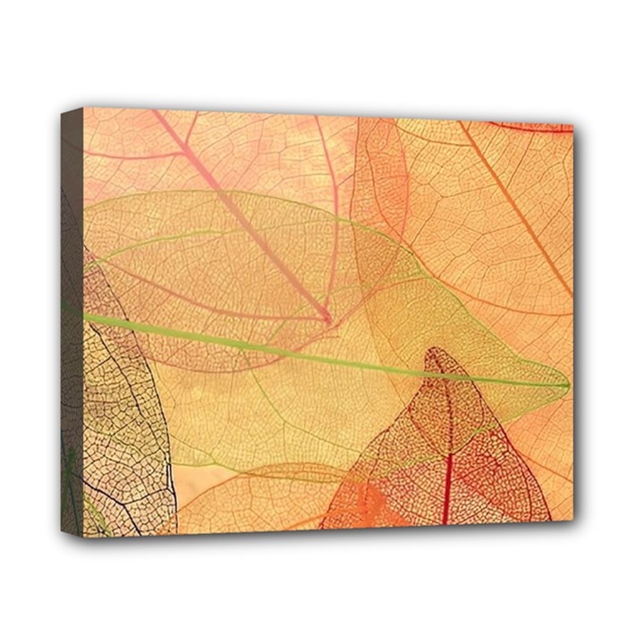 Leaves Patterns Colorful Leaf Pattern Canvas 10  x 8  (Stretched)