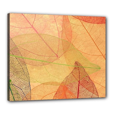 Leaves Patterns Colorful Leaf Pattern Canvas 24  x 20  (Stretched)