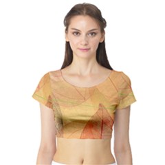 Leaves Patterns Colorful Leaf Pattern Short Sleeve Crop Top