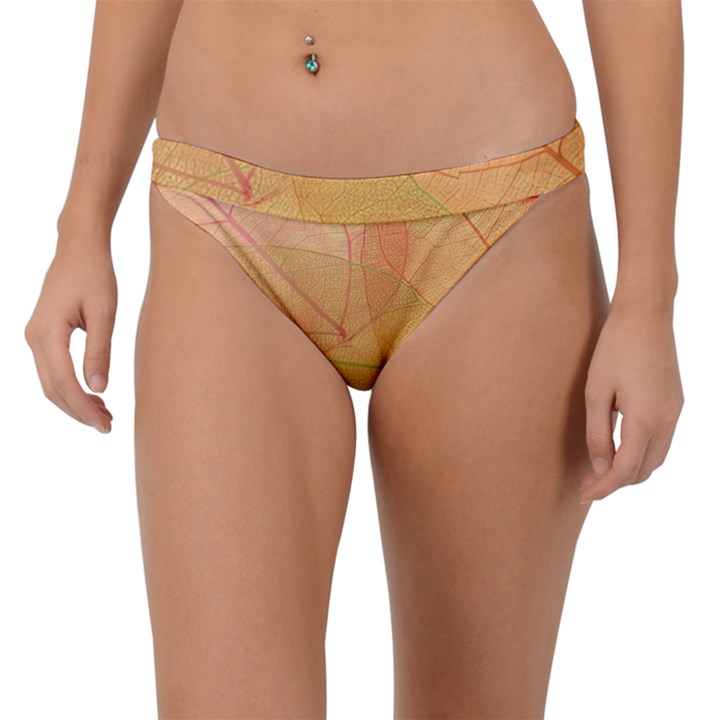 Leaves Patterns Colorful Leaf Pattern Band Bikini Bottoms