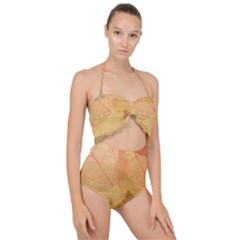 Leaves Patterns Colorful Leaf Pattern Scallop Top Cut Out Swimsuit