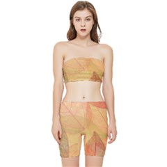 Leaves Patterns Colorful Leaf Pattern Stretch Shorts and Tube Top Set