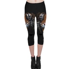 Tiger Angry Nima Face Wild Capri Leggings 