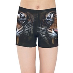 Tiger Angry Nima Face Wild Kids  Sports Shorts