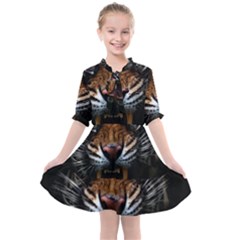 Tiger Angry Nima Face Wild Kids  All Frills Chiffon Dress