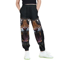 Tiger Angry Nima Face Wild Kids  Joggers