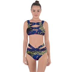 Koi Fish Carp Bandaged Up Bikini Set  by Cemarart