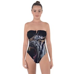 Angry Tiger Roar Tie Back One Piece Swimsuit