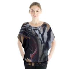 Angry Tiger Roar Batwing Chiffon Blouse