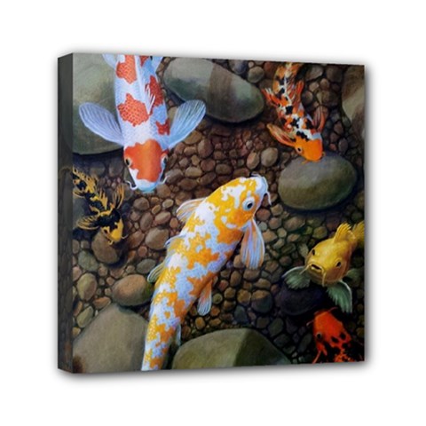 Koi Fish Clown Pool Stone Mini Canvas 6  X 6  (stretched)