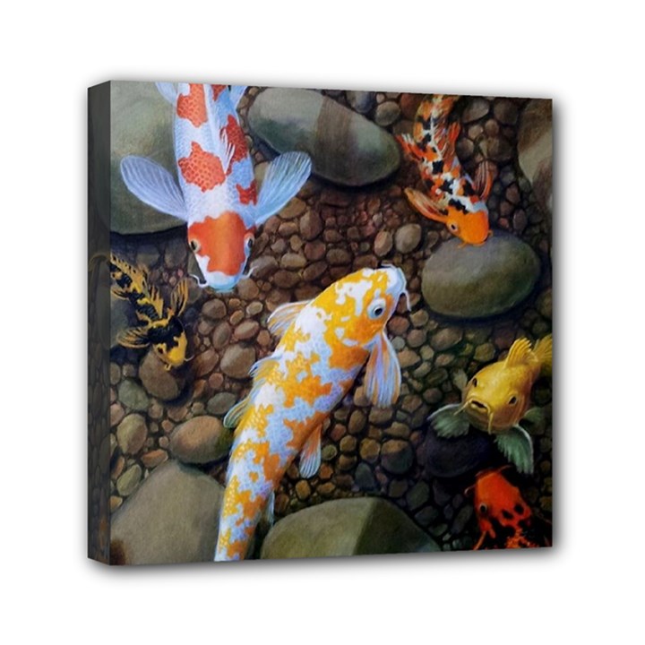 Koi Fish Clown Pool Stone Mini Canvas 6  x 6  (Stretched)