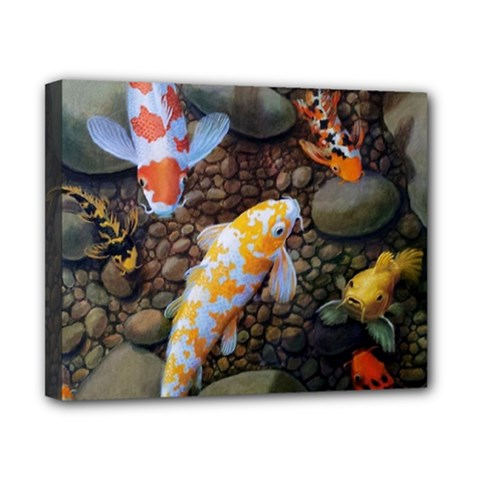 Koi Fish Clown Pool Stone Canvas 10  X 8  (stretched)