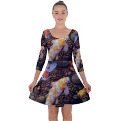 Koi Fish Clown Pool Stone Quarter Sleeve Skater Dress