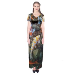 Koi Fish Clown Pool Stone Short Sleeve Maxi Dress