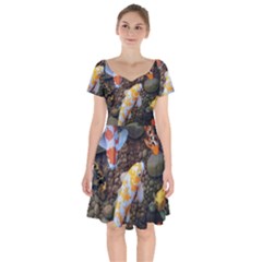 Koi Fish Clown Pool Stone Short Sleeve Bardot Dress