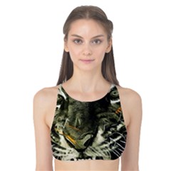 Angry Tiger Animal Broken Glasses Tank Bikini Top