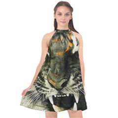 Angry Tiger Animal Broken Glasses Halter Neckline Chiffon Dress 