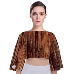 Brown Wooden Texture Tie Back Butterfly Sleeve Chiffon Top by nateshop