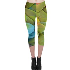 Parrot Feathers Texture Feathers Backgrounds Capri Leggings  by nateshop