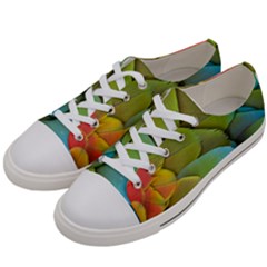 Parrot Feathers Texture Feathers Backgrounds Women s Low Top Canvas Sneakers by nateshop