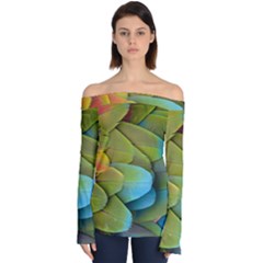 Parrot Feathers Texture Feathers Backgrounds Off Shoulder Long Sleeve Top by nateshop