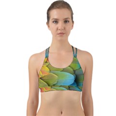 Parrot Feathers Texture Feathers Backgrounds Back Web Sports Bra by nateshop