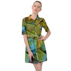 Parrot Feathers Texture Feathers Backgrounds Belted Shirt Dress by nateshop