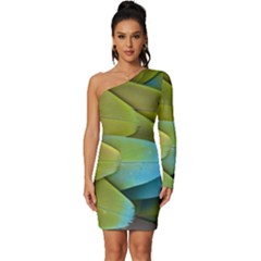 Parrot Feathers Texture Feathers Backgrounds Long Sleeve One Shoulder Mini Dress