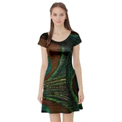 Peacock Feathers, Feathers, Peacock Nice Short Sleeve Skater Dress by nateshop