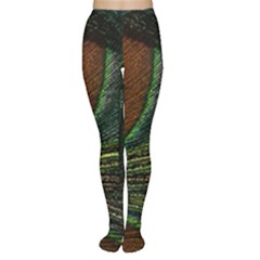 Peacock Feathers, Feathers, Peacock Nice Tights by nateshop