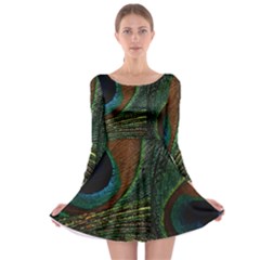 Peacock Feathers, Feathers, Peacock Nice Long Sleeve Skater Dress by nateshop