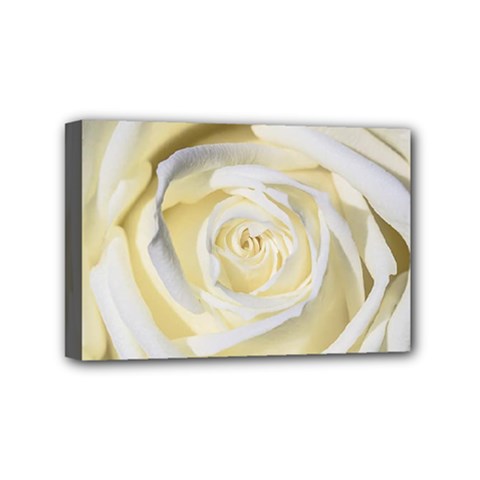 White Roses Flowers Plant Romance Blossom Bloom Nature Flora Petals Mini Canvas 6  X 4  (stretched) by Proyonanggan