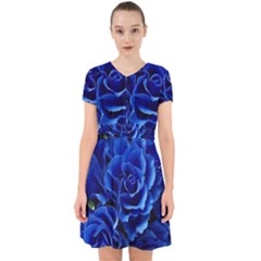 Blue Roses Flowers Plant Romance Blossom Bloom Nature Flora Petals Adorable in Chiffon Dress