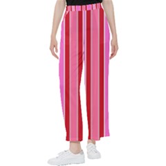 Stripes-4 Women s Pants  by nateshop