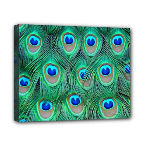 Peacock Feathers, Bonito, Bird, Blue, Colorful, Feathers Canvas 10  X 8  (stretched)