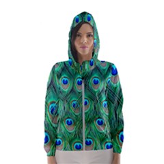 Peacock Feathers, Bonito, Bird, Blue, Colorful, Feathers Women s Hooded Windbreaker
