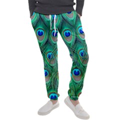 Peacock Feathers, Bonito, Bird, Blue, Colorful, Feathers Men s Jogger Sweatpants