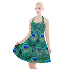 Peacock Feathers, Bonito, Bird, Blue, Colorful, Feathers Halter Party Swing Dress  by nateshop