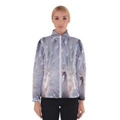 White Feathers, Animal, Bird, Feather, Peacock Women s Bomber Jacket