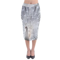 White Feathers, Animal, Bird, Feather, Peacock Midi Pencil Skirt by nateshop