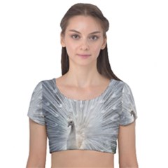 White Feathers, Animal, Bird, Feather, Peacock Velvet Short Sleeve Crop Top  by nateshop