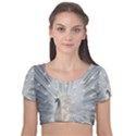 White Feathers, Animal, Bird, Feather, Peacock Velvet Short Sleeve Crop Top  View1